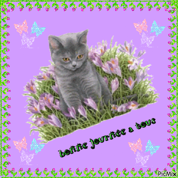 bonjour a toutes et a tous